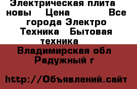 Электрическая плита,  новы  › Цена ­ 4 000 - Все города Электро-Техника » Бытовая техника   . Владимирская обл.,Радужный г.